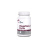 Vet Expert Hepatiale Forte suplemento hepatoprotector para perros y gatos