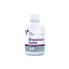 Vet Expert Hepatiale Forte Liquid suplemento hepatoprotector para perros y gatos
