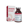 MONTANA GASTROGLOBULIN FRASCO 10 ML | Maskotas.pe