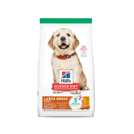 Hills Science Diet Canine Puppy Large Breed alimento seco para cachorros grandes