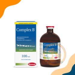 COMPLEX B 100ML