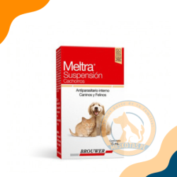 MELTRA SUSPENSION CACHORRO FRASCO X 15ML