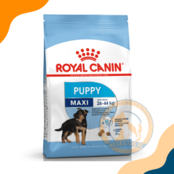 ROYAL CANIN SHN MAXI PUPPY - CACHORRO RAZA GRANDE 15 KG