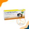 CARPROVET 25 X 40 COMPRIMIDOS