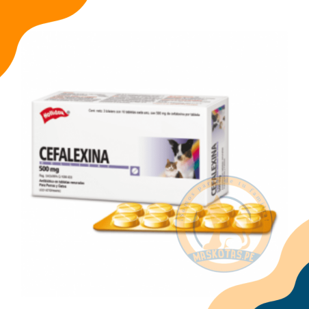 CEFALEXINA 500MG CJ. X 300 COMP