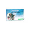 Capstar 11.4 mg tabletas antipulgas acción rápida para perros y gatos 1-11 kg