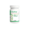 Chitofos suplemento para soporte renal en perros y gatos