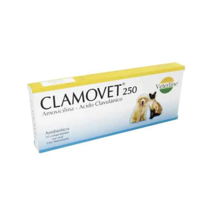 Clamovet 250mg antibiótico para perros y gatos