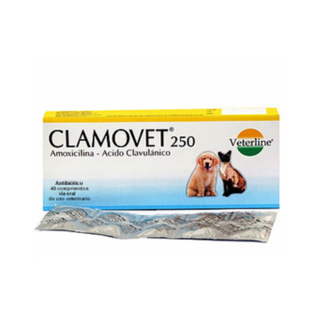 Clamovet 250mg antibiótico para perros y gatos