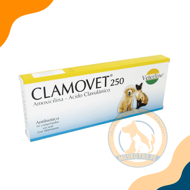 CLAMOVET 250 X 10 COMP