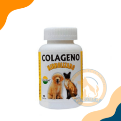 COLAGENO HIDROLIZADO FRASCO X 90 TAB