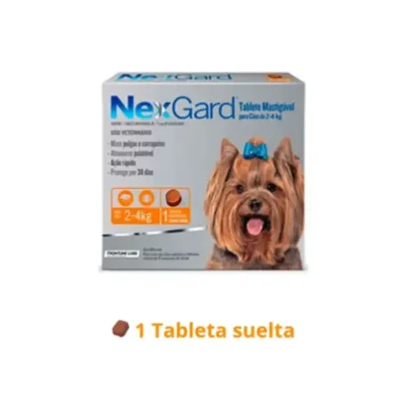 NexGard comprimido masticable antipulgas garrapatas para perros 2-4 kg