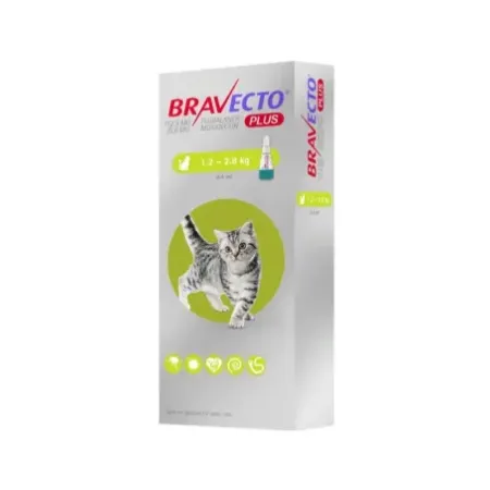 Bravecto Plus 112.5mg pipeta antiparasitaria para gatos 1.2-2.8 kg