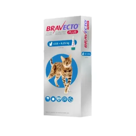 Bravecto Plus 250mg pipeta antiparasitaria para gatos 2.8-6.25 kg