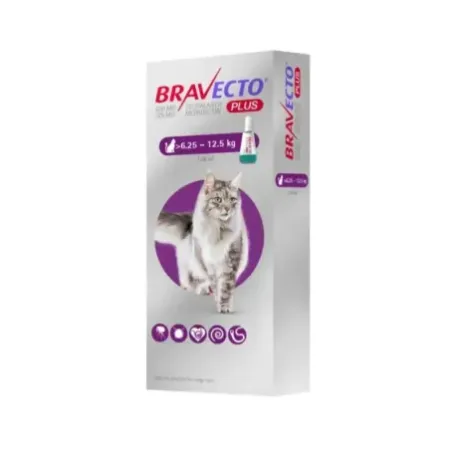 Bravecto Plus 500mg pipeta antiparasitaria para gatos 6.25-12.5 kg