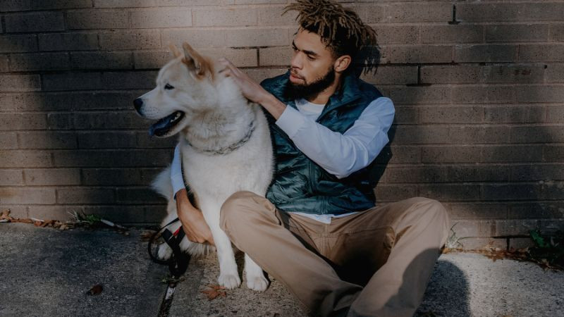 Todo lo que tu Compañero Peludo Necesita